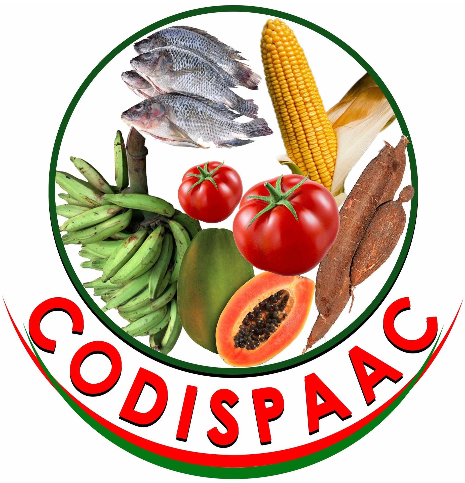 Codispaac Site Web